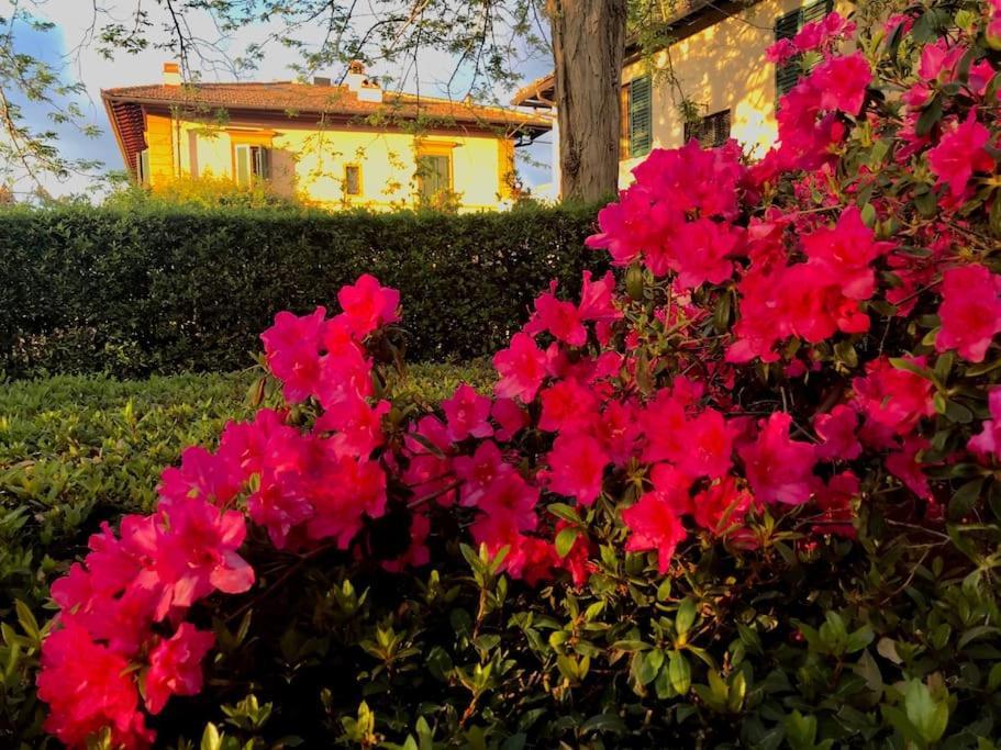 Apartamento In Torre Di Antica Florencia